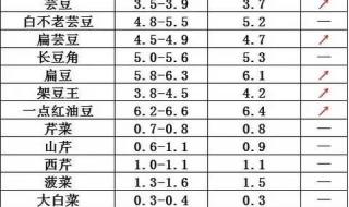 山东寿光蔬菜大棚