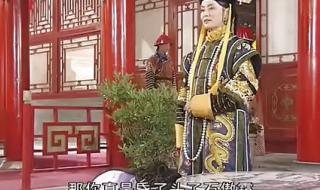 青天衙门之龙儿
