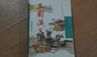 关于三国的小说